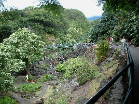 Iao Valley Garden Area