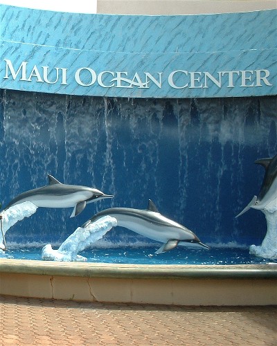 Maui Ocean Center