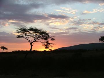 Masai Mara sunset