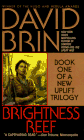 Brightness Reef cover - David Brin