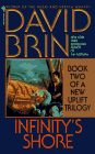 Infinity's Shore cover - David Brin